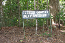 It's strictly forbidden to walk during the night!